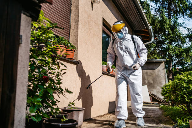 Best Bed Bug Extermination  in Hayti, MO